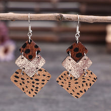 Load image into Gallery viewer, Alloy Drop Earrings